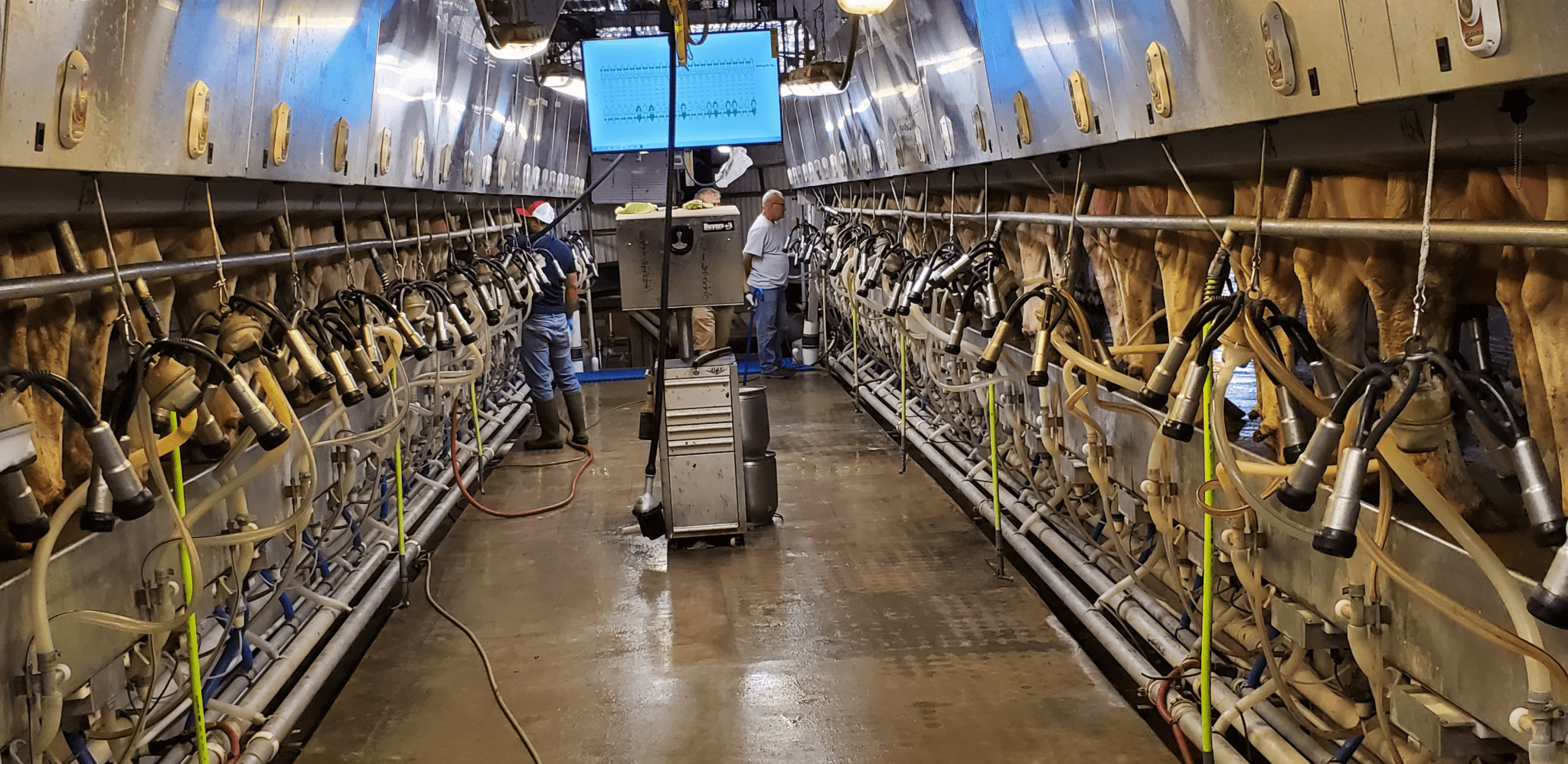 Our History BECO Dairy Automation Inc.