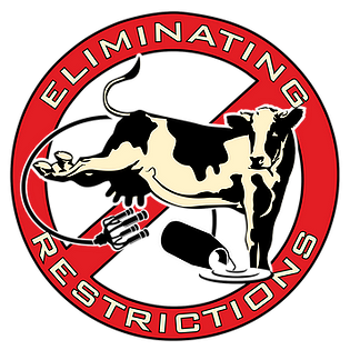 BECO Eliminating Restrictions Logo