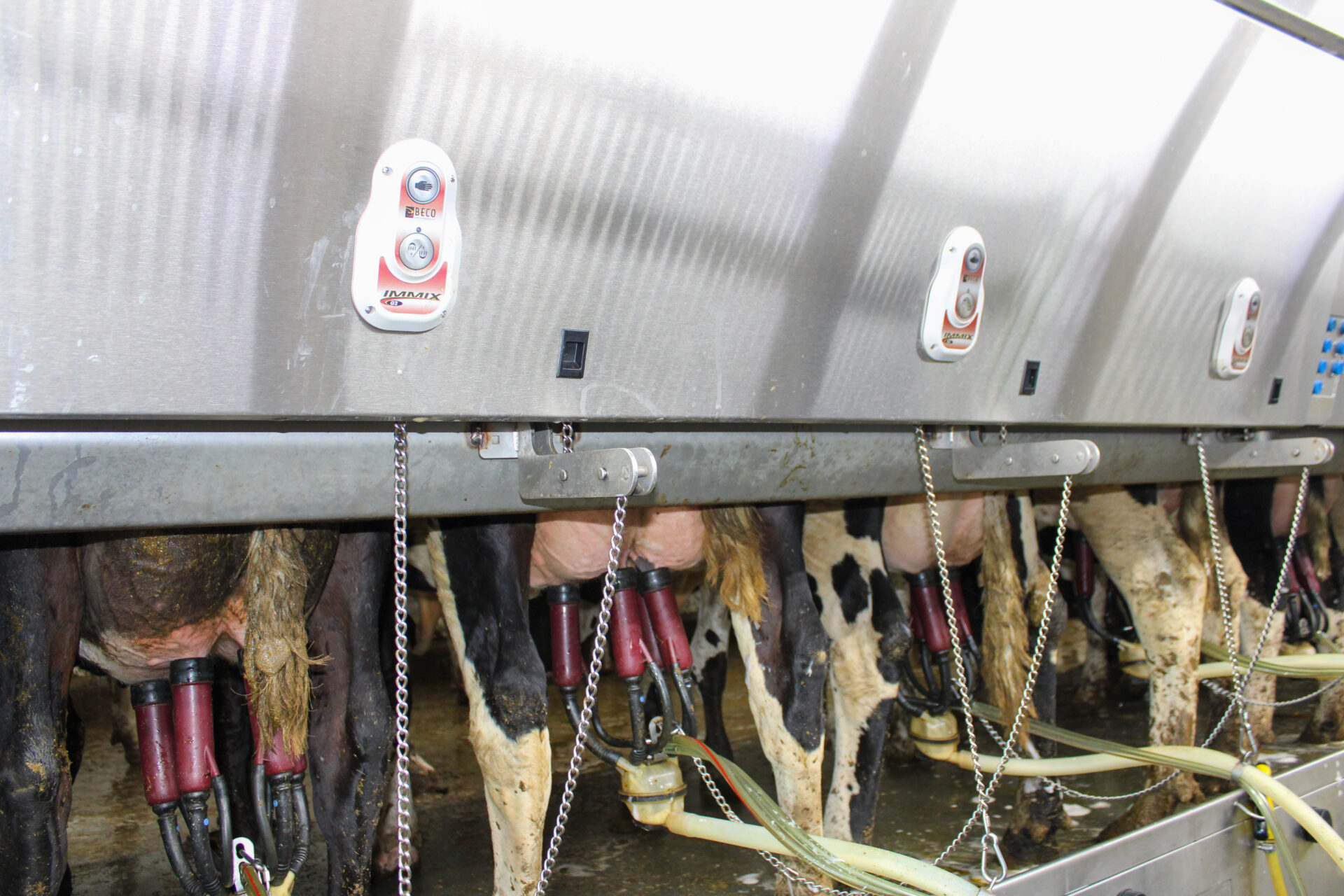 IMG_2800 Cow Monitoring Equipment