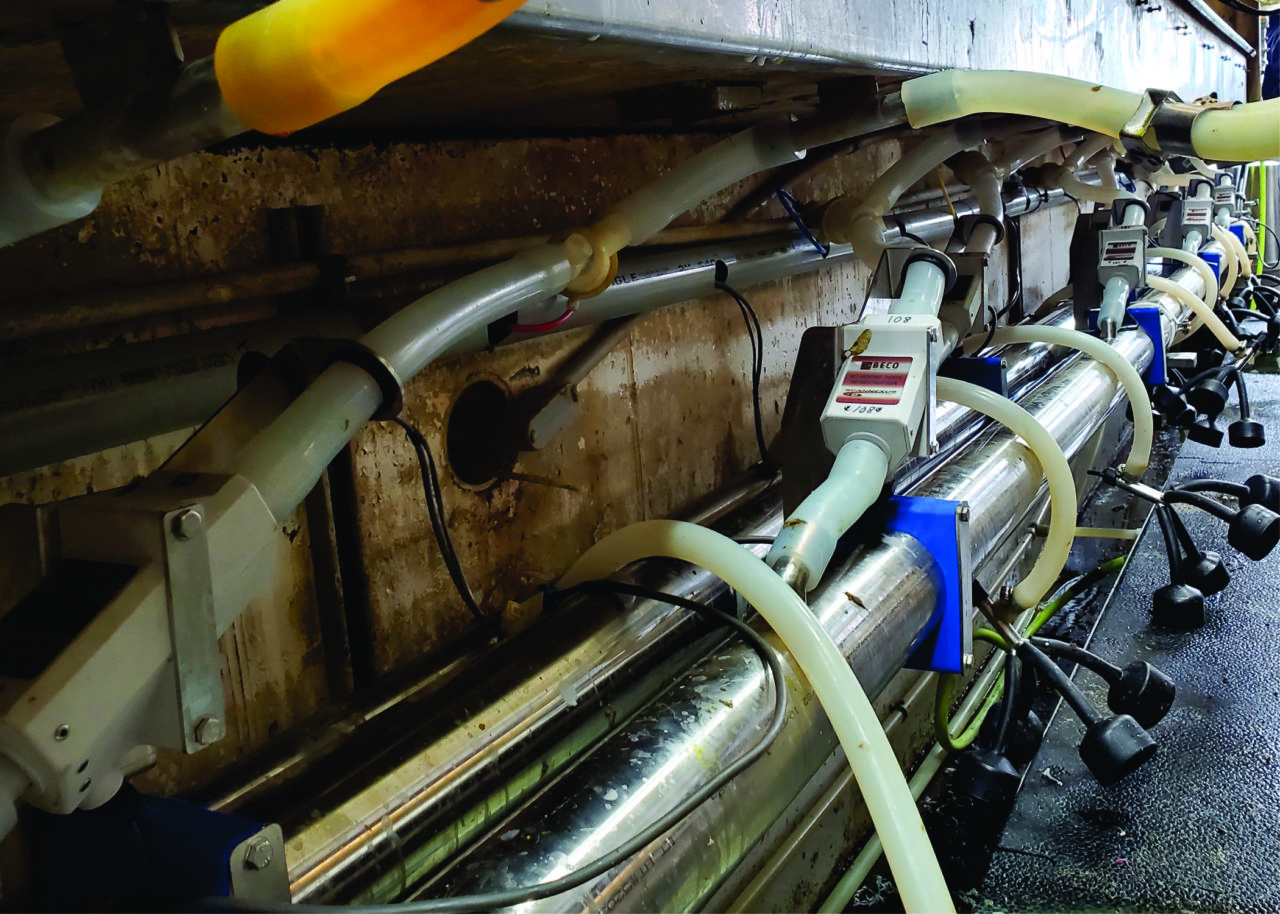 Automation BECO Dairy Automation Inc.