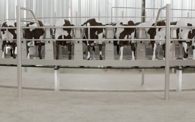 BXR Max-Trak Rotary: The New Standard in Strength, Safety, and Parlor Efficiency